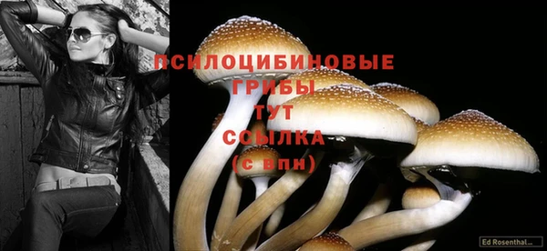 шишки Нефтегорск