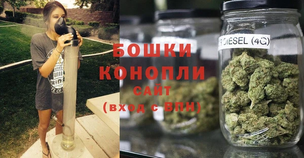 молекула духа Нефтекумск