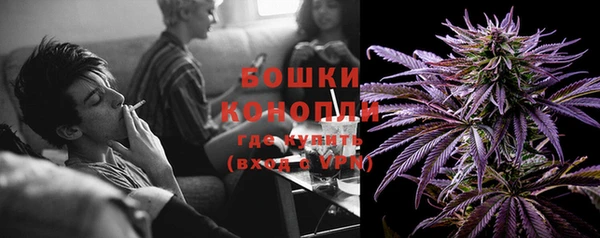 шишки Нефтегорск